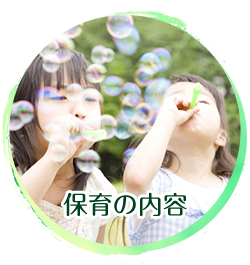 保育の内容